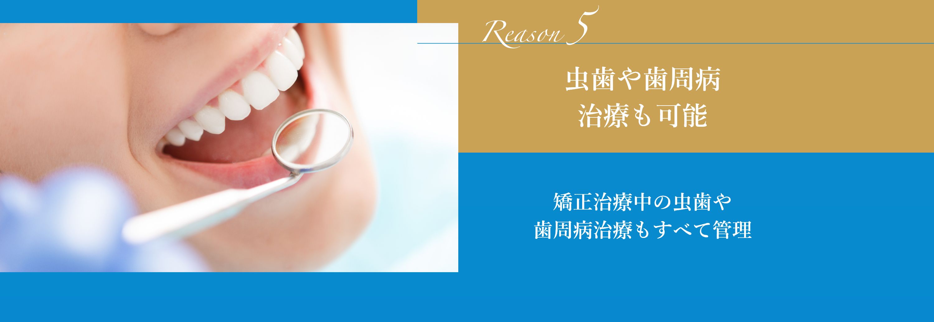 虫歯や歯周病治療も可能