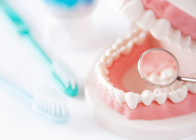 生涯を通じて健康な歯を守り続けるために、日頃のケアが大切な予防歯科
